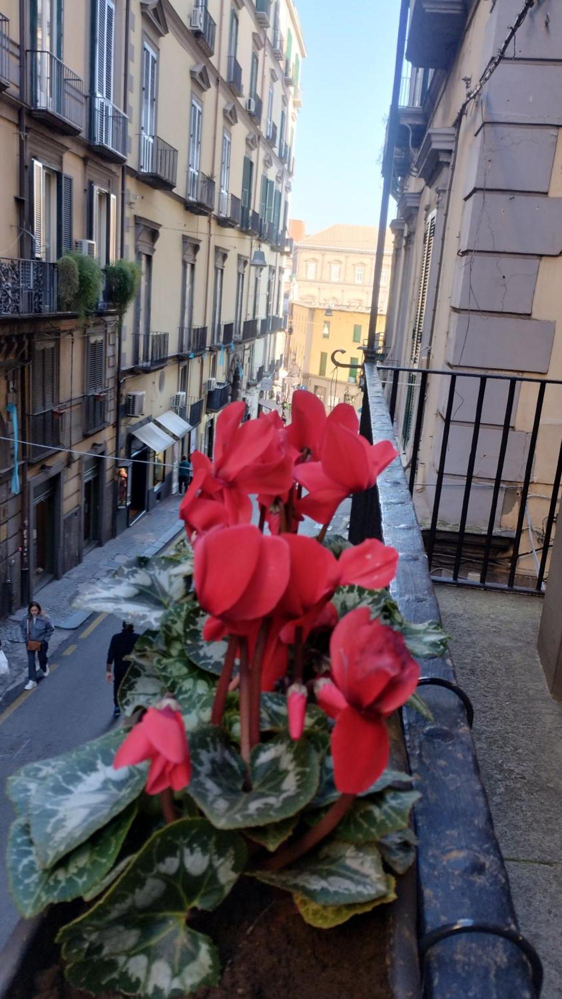 Plebiscito Suite Apartment Napoli Bagian luar foto